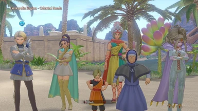 Npc Costume Swap Cheat Table At Dragon Quest Xi Nexus Mods And Community
