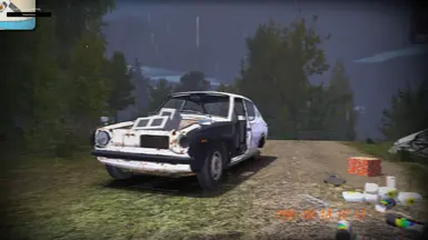 old granny's car