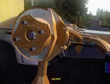 Painted brake
