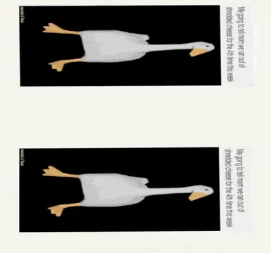 goose bodypillow skin for people who need a companion