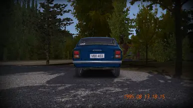 plate save back of the car