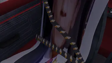John Cena's Seatbelt