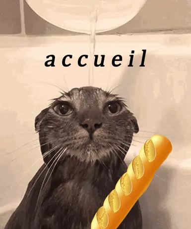 accueil mugshot
