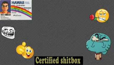 Rear window sticker