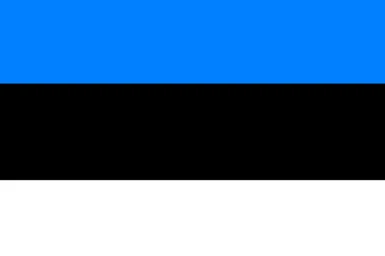 Estonian garage flag