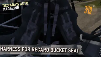 Harness for RECARO bucket seat.