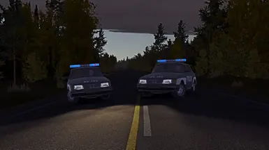 Cruising Police cars