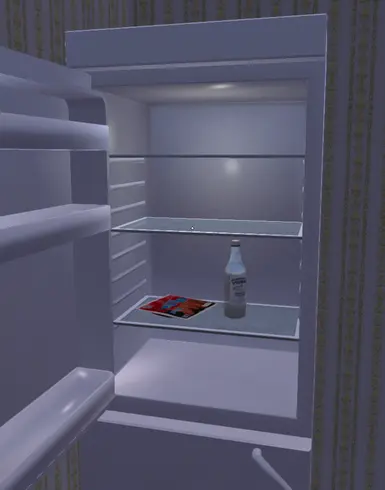 The empty fridge