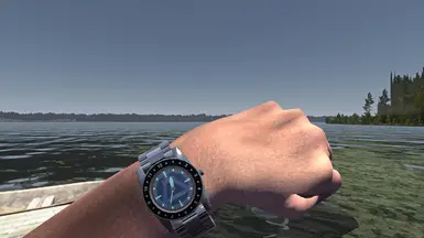 12 Hour Watch