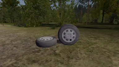 Polonez Hubcap