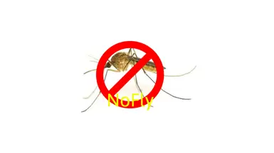 NoFly
