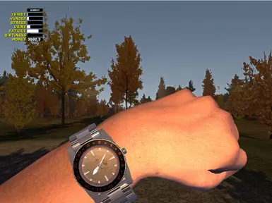 Military Soviet Wristwatch