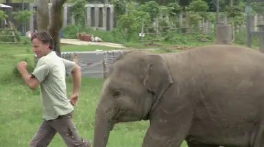 A Sylvan Sorcerer and his Mastodon