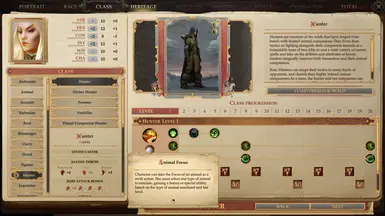 Fighter  Pathfinder Kingmaker Wiki