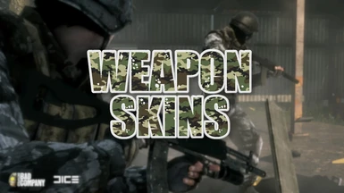 Weapon Skins