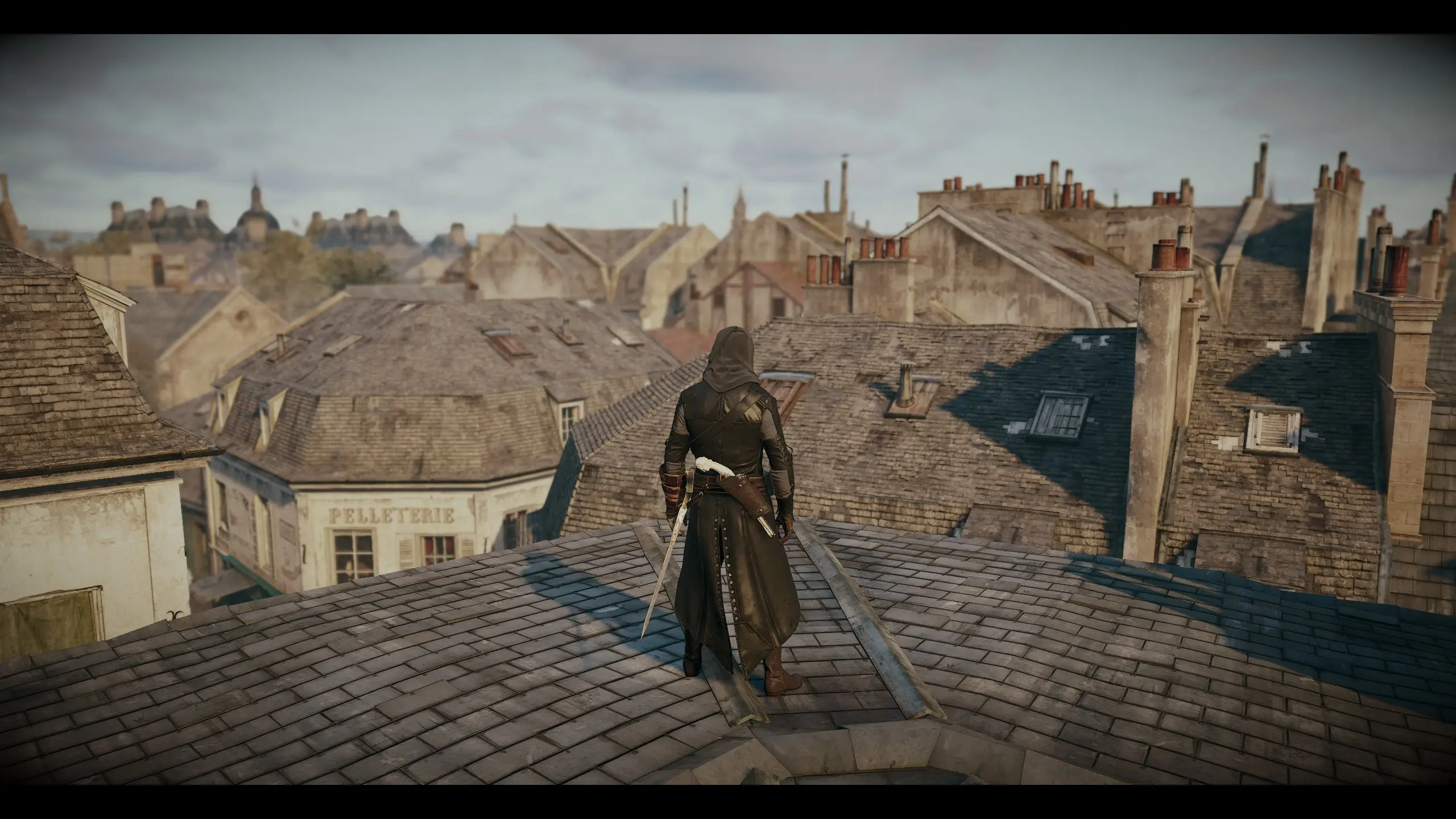 Assassin's Creed Unity Nexus - Mods and community