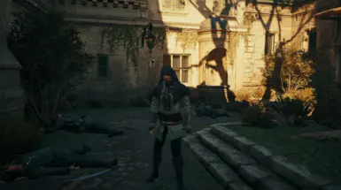 Female Assassin at Assassin's Creed Unity Nexus - Mods and community