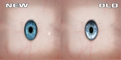 Human Eyeballs HD