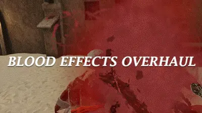 Blood Effects Overhaul 2の使用gif