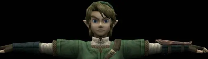 twilight princess link face