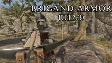 Brigand Armor (U12.3)