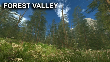 Forest Valley
