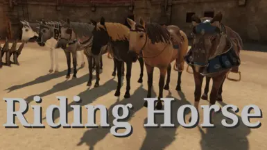 Riding Horse for 1.0