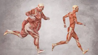 No overweight enemies