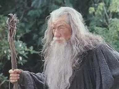 Gandalf The Grey's Staff