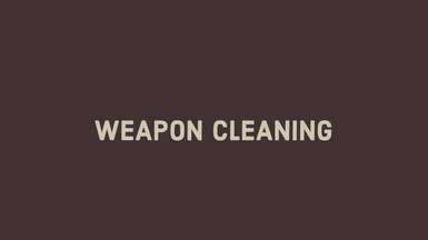 Weapon Cleaning (U11)