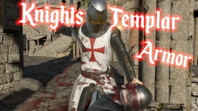 Knights Templar (Armor) (U11.3)