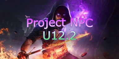 Project NPC (U12.2)