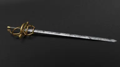 Duelists rapier