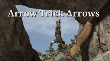 Arrow Trick Arrows for U12