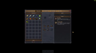 Increased Inventory Size