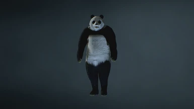 Mr Panda X