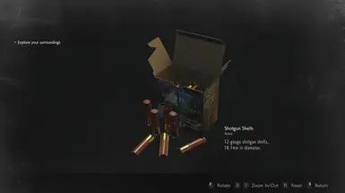 Shotgun Shells
