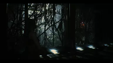 Dark Umbrella Reshade