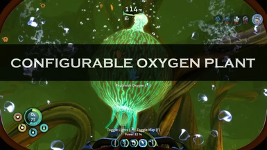 Configurable Oxygen Plant