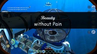 Beauty without Pain