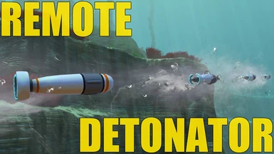 Remote Torpedo Detonator