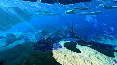 Tundra Bloom 1.0
