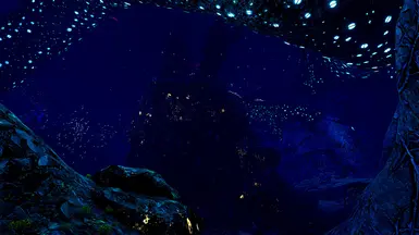 Tundra Bloom 1.0