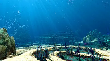 Tundra Bloom 1.0