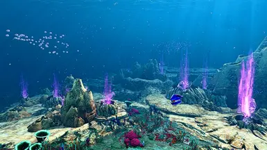 Tundra Bloom 1.0