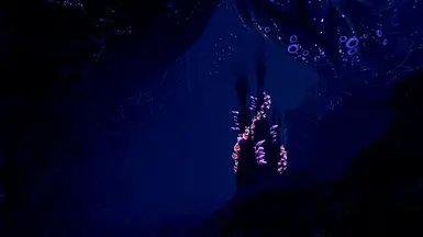 Tundra Bloom 1.0