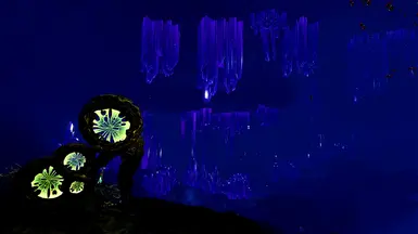 Tundra Bloom 1.0