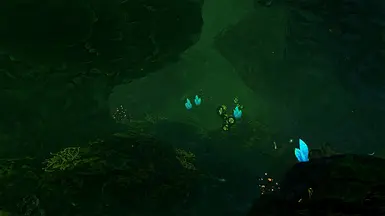 Tundra Bloom 1.0
