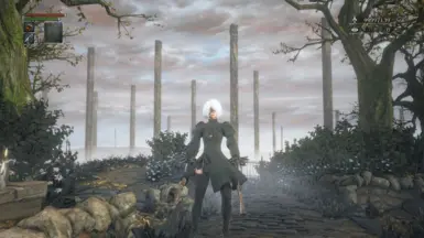 2b mod at Bloodborne Nexus - Mods and community