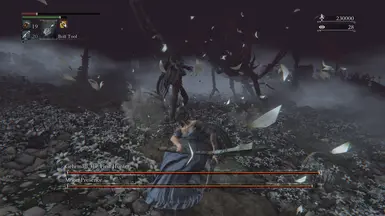 Bloodborne Enhanced